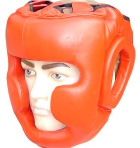 Head Protector